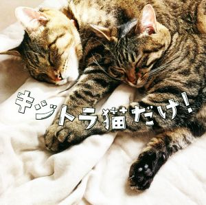 写真集 キジトラ猫だけ！TOKYO NEWS BOOKS