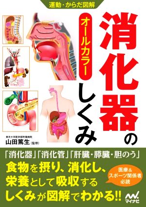 消化器のしくみ オールカラー 運動・からだ図解