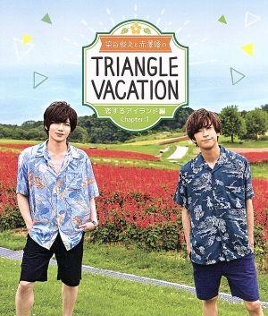染谷俊之と赤澤燈のTriangle vacation ～恋するアイランド編～ Chapter1(Blu-ray Disc)