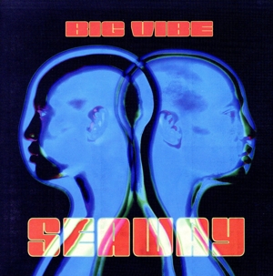 ビッグ・ヴァイブド(紙ジャケット仕様)