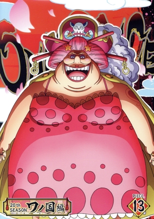 ONE PIECE ワンピース 20THシーズン ワノ国編 piece.13