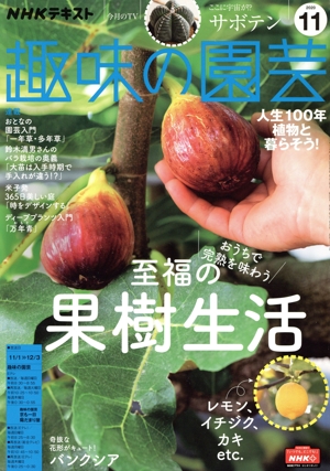 NHKテキスト 趣味の園芸(11 2020) 月刊誌