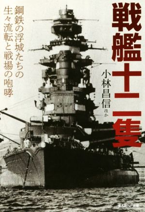 戦艦十二隻 鋼鉄の浮城たちの生々流転と戦場の咆哮 光人社NF文庫