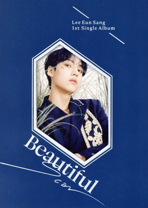 【輸入盤】Beautiful Scar