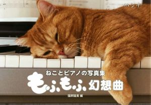 もふもふ幻想曲 ねことピアノの写真集