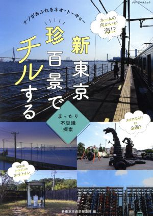 新東京珍百景でチルする ナゾがあふれるネオ・トーキョー メディアパルムック