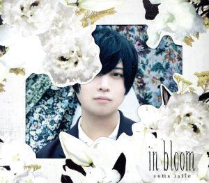 in bloom PHOTOBOOK盤(初回生産限定盤)