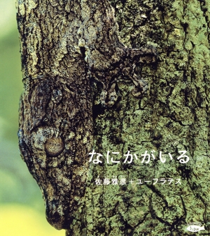 なにかがいる かがくのとも絵本