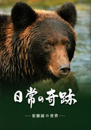 日常の奇跡 安藤誠の世界