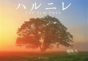 ハルニレTHE ELM TREE