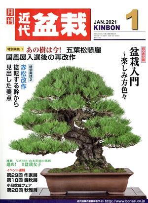 近代盆栽(KINBON)(1 2021) 月刊誌