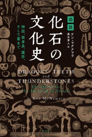 図説 化石の文化史神話、装身具、護符、そして薬まで
