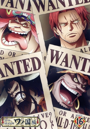 ONE PIECE ワンピース 20THシーズン ワノ国編 piece.16