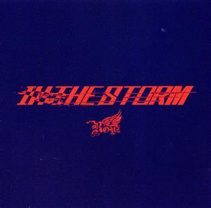 IN THE STORM(初回限定盤B-Type)(DVD付)