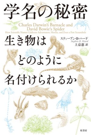 学名の秘密 生き物はどのように名付けられるか