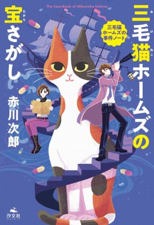 三毛猫ホームズの宝さがし 三毛猫ホームズの事件ノート