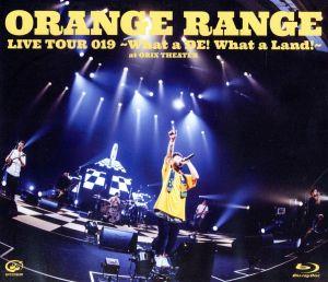 LIVE TOUR 019 ～What a DE！ What a Land！～ at オリックス劇場(Blu-ray Disc)