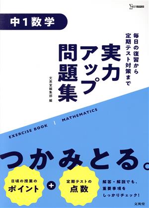 実力アップ問題集 中1数学