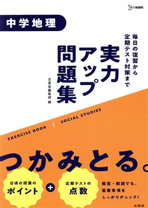 実力アップ問題集 中学地理