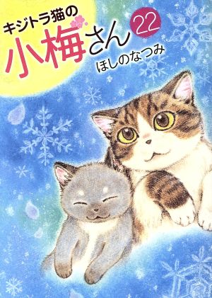 キジトラ猫の小梅さん(22) ねこぱんちC