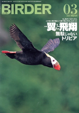 BIRDER(2021年3月号) 月刊誌