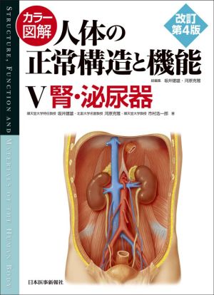 カラー図解 人体の正常構造と機能 改訂第4版(Ⅴ)腎・泌尿器