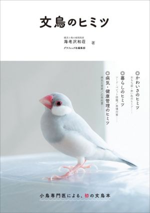 文鳥のヒミツ