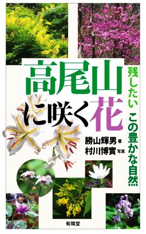 高尾山に咲く花