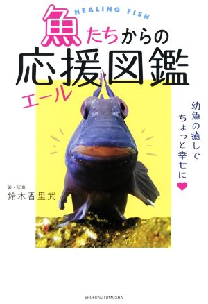 魚たちからの応援図鑑 幼魚の癒しでちょっと幸せに