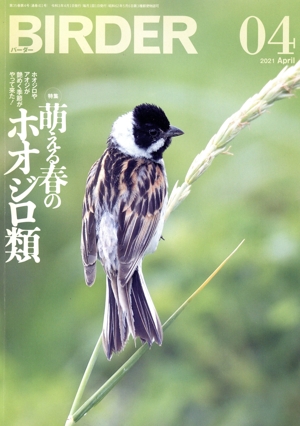 BIRDER(2021年4月号) 月刊誌