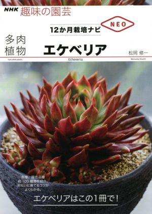 趣味の園芸 多肉植物エケべリア NHK趣味の園芸 12か月栽培ナビNEO