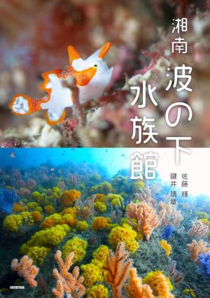 湘南 波の下水族館