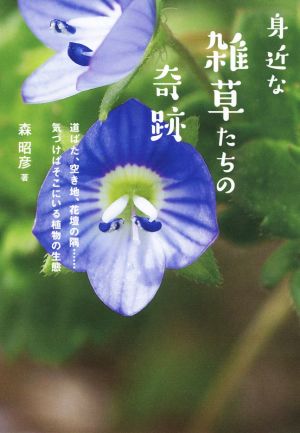 身近な雑草たちの奇跡道ばた、空き地、花壇の隅……気づけばそこにいる植物の生態