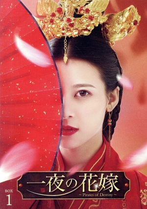 一夜の花嫁～Pirates of Destiny～ DVD-BOX1