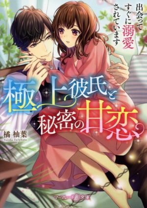 極上彼氏と秘密の甘恋 出会ってすぐに溺愛されています マーマレード文庫