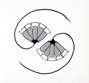 G d's Pee AT STATE'S END！