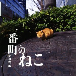 写真集 一番町のねこ