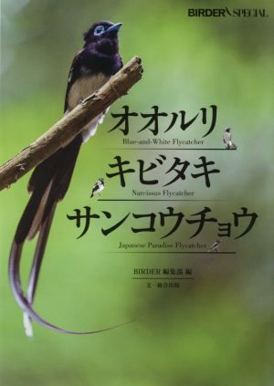 オオルリ・キビタキ・サンコウチョウBIRDER SPECIAL