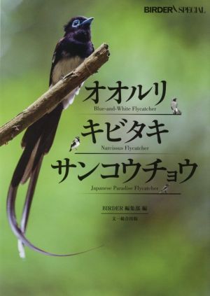 オオルリ・キビタキ・サンコウチョウ BIRDER SPECIAL