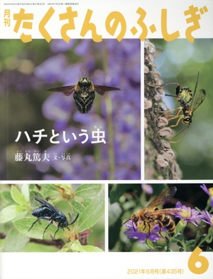 月刊たくさんのふしぎ(6 2021年6月号) 月刊誌