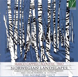 【輸入盤】Norwegian Landscapes