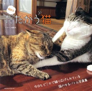 写真集 何かとたたかう猫 マイウェイムック