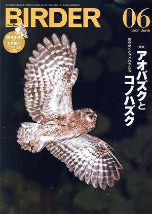 BIRDER(2021年6月号) 月刊誌