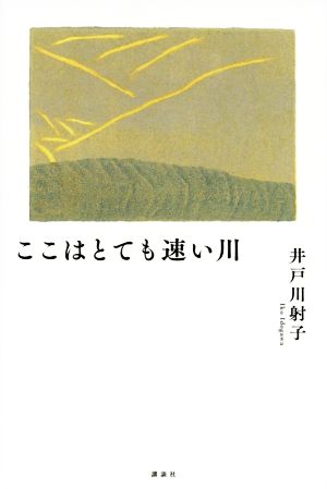 ここはとても速い川