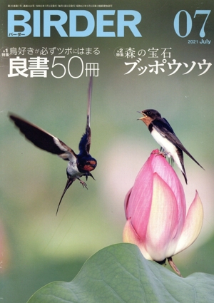 BIRDER(2021年7月号) 月刊誌