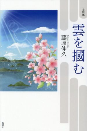 小説集 雲を掴む