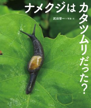 ナメクジはカタツムリだった？ ちしきのぽけっと