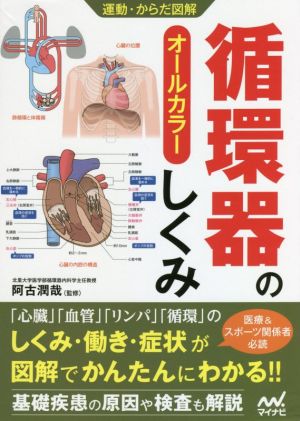 循環器のしくみオールカラー運動・からだ図解