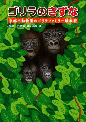 ゴリラのきずな京都市動物園のゴリラファミリー観察記