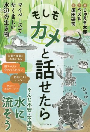 もしもカメと話せたらそんな不安・不満は水に流そう